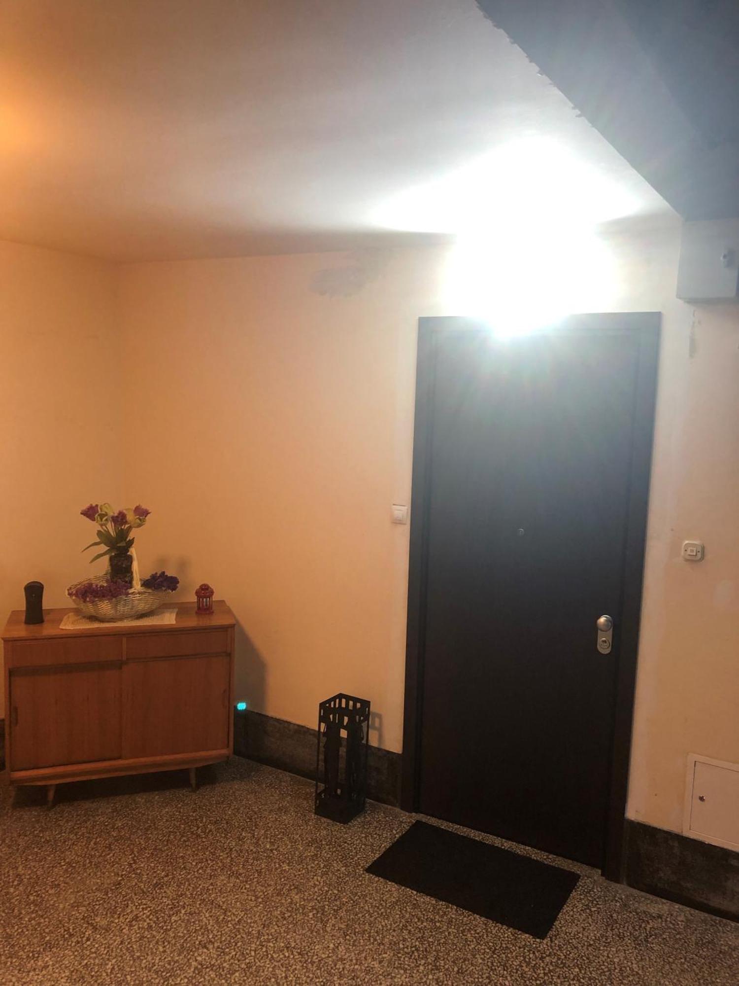 Rakuscha Apartment Zagreb Buitenkant foto
